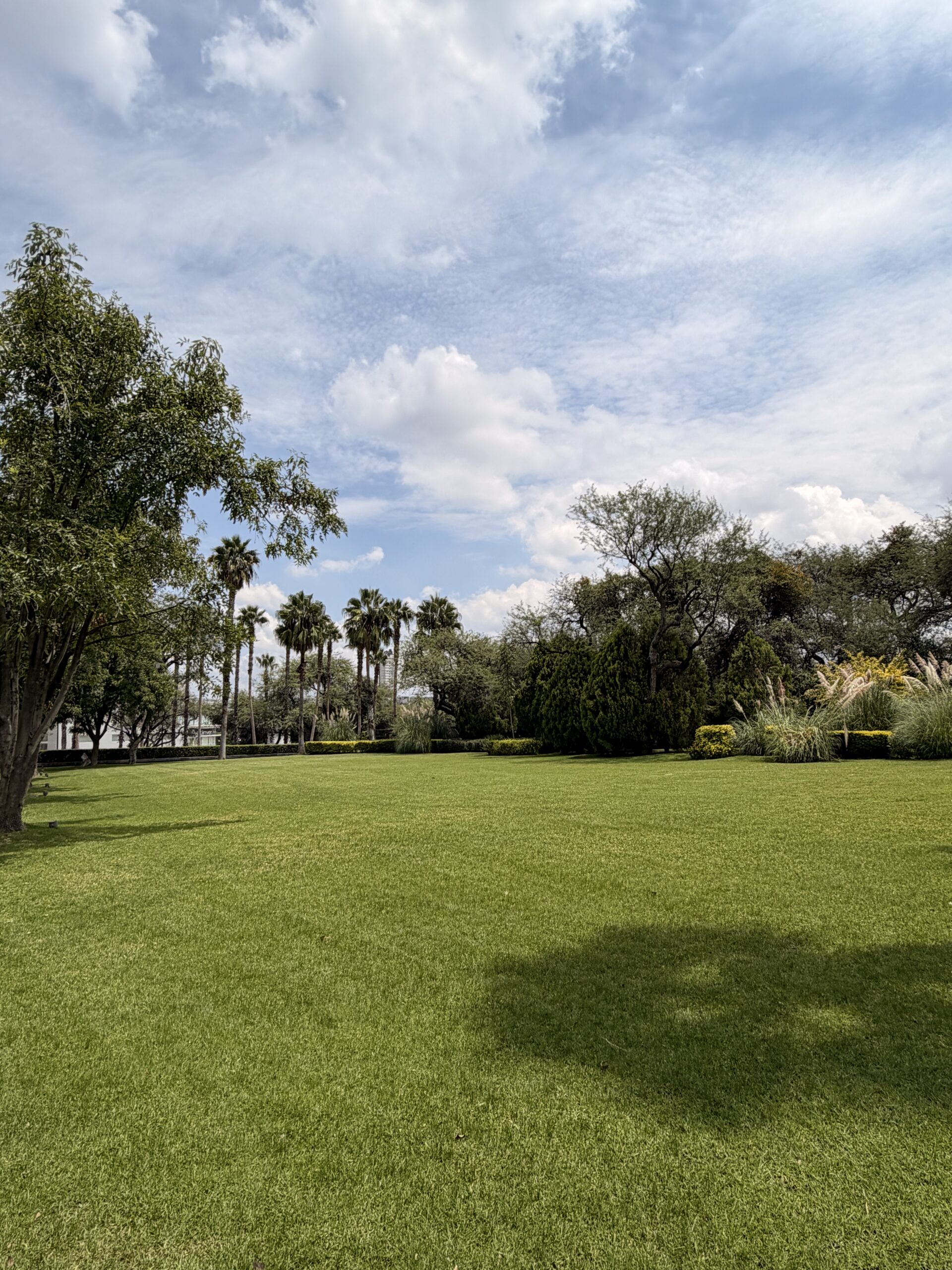Jardín Principal