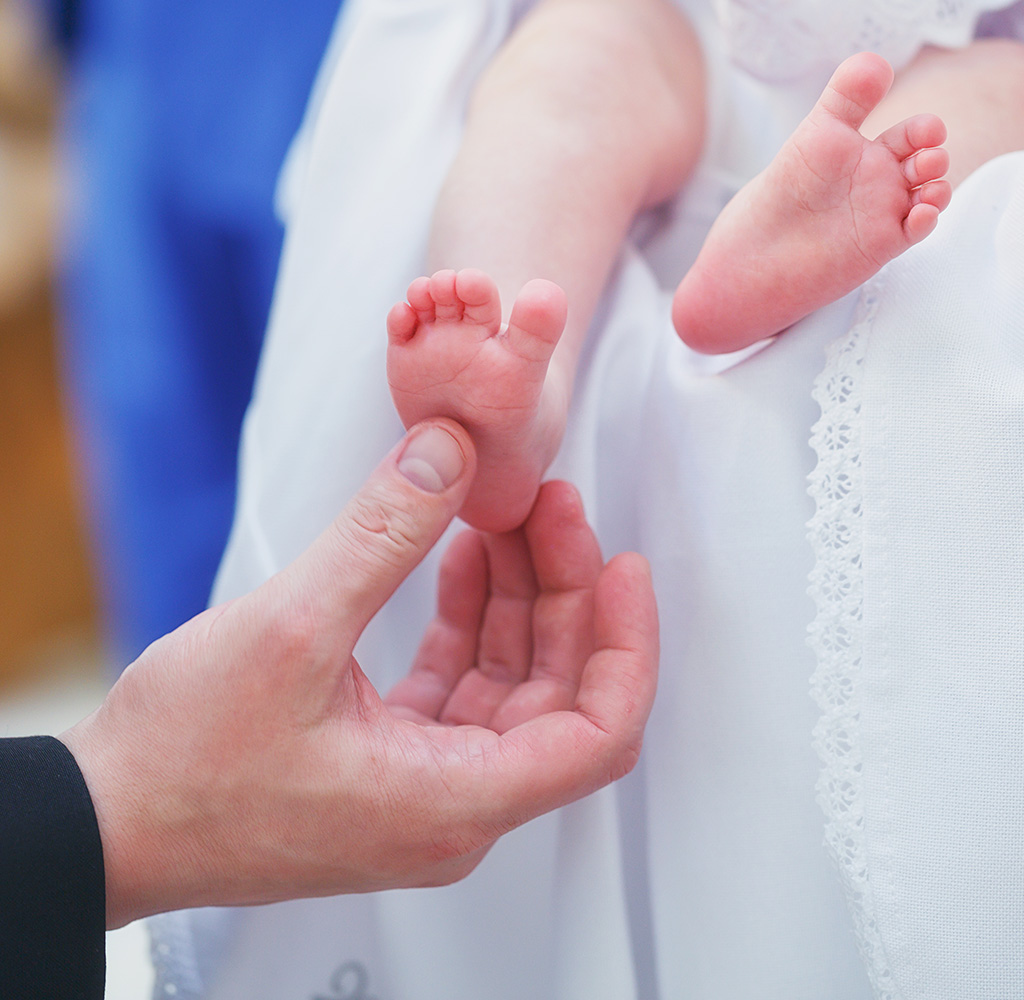 Imágenes fer casa 16